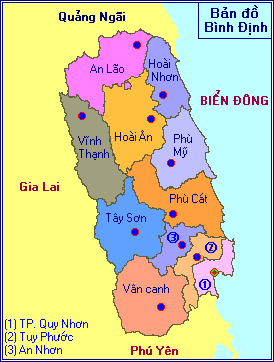 Nhan-van-chuyen-hang-Sai-gon-di-Binh-Dinh-gia-re